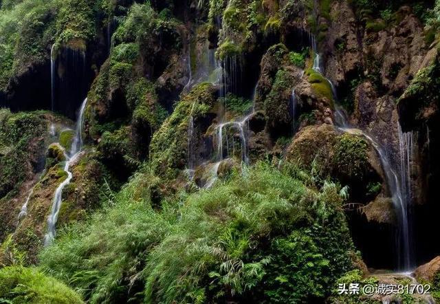 无忧国际wy6999